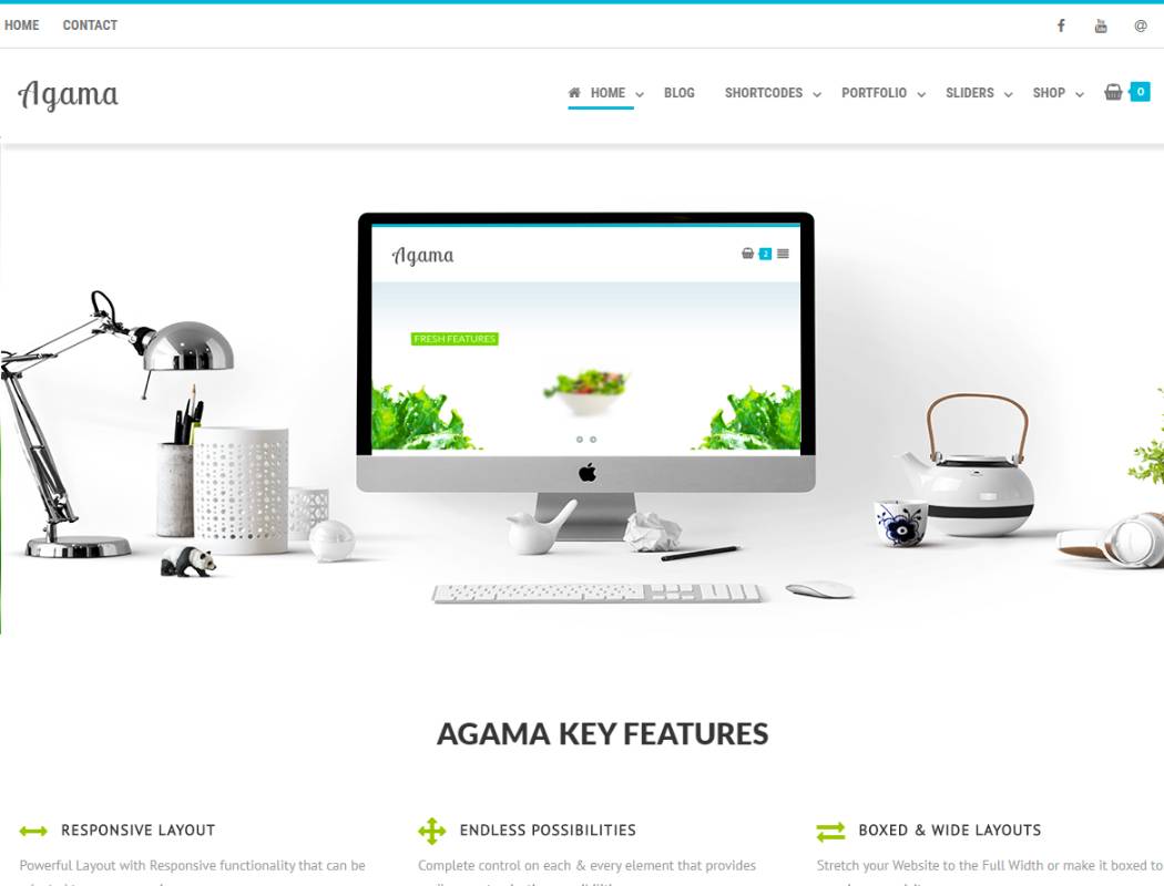 Agama - WordPress Theme For Designers