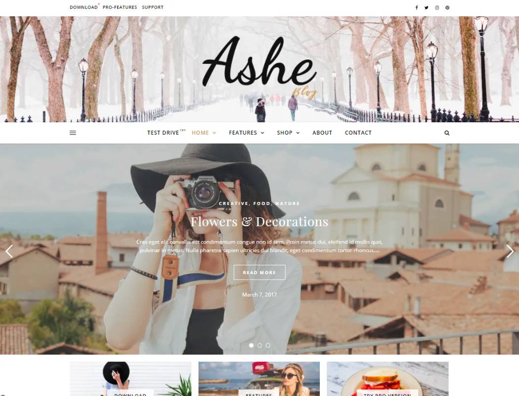 Ashe - Best Free WordPress Theme For Designers