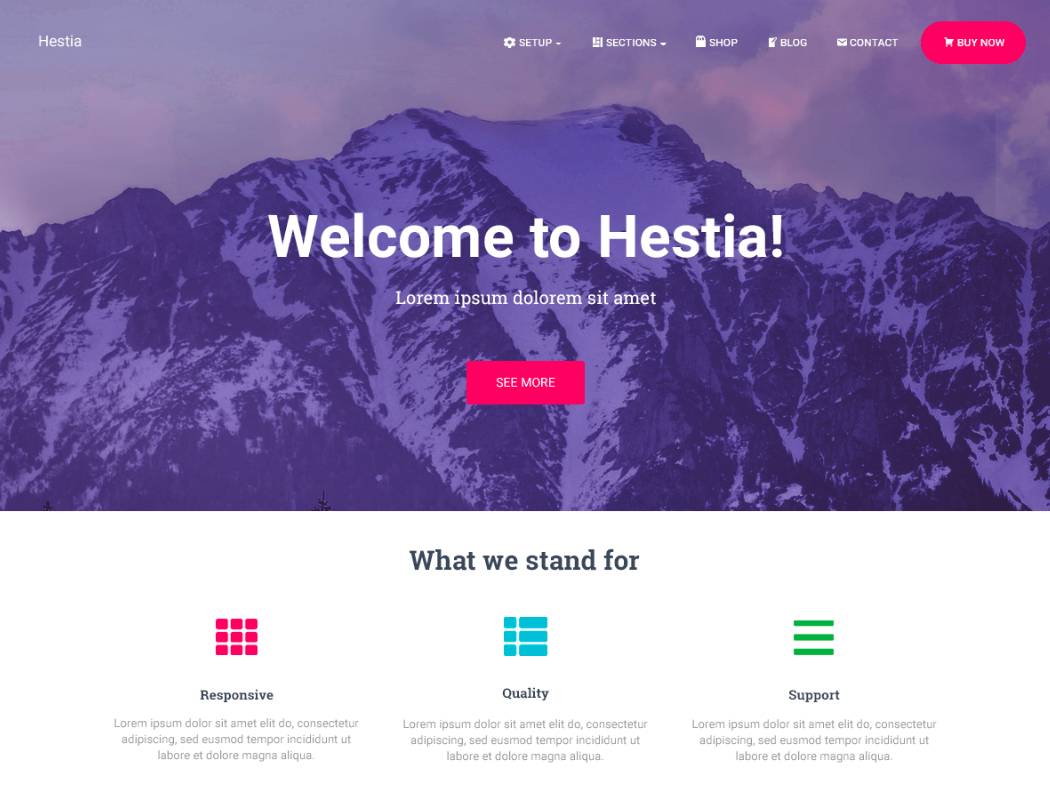 Hestia - Free WordPress Builder Theme